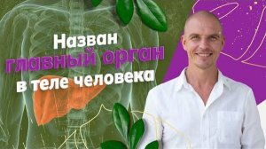 ОДИН орган, от которого зависит ВСЁ! Назван главный орган в теле человека