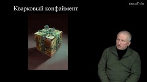 Широков Е.В. - Физика ядра и частиц - 4. Физика частиц