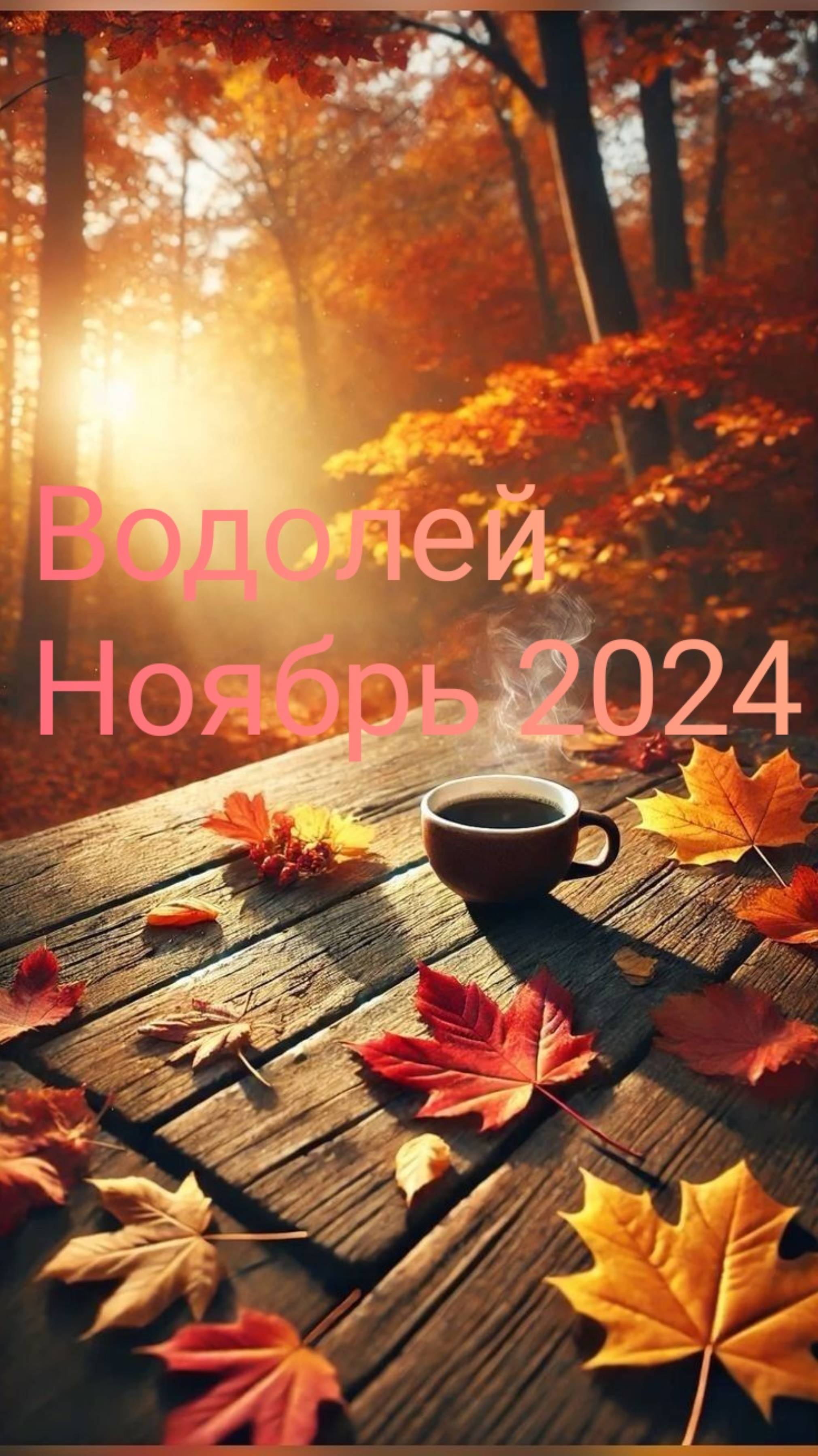 Водолей. Ноябрь 2024.
