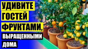 ❌ КАРЛИКОВЫЕ ДЕРЕВЬЯ ДЛЯ ДОМА АЛИЭКСПРЕСС 👍