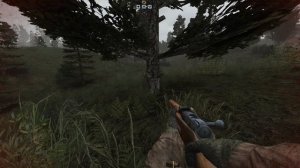 S.T.A.L.K.E.R. Anomaly (U4H8 + Muh Immersion Addon Pack) - Hunting Boars and Cats