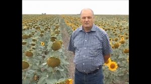 Нулевая технология.No-till.