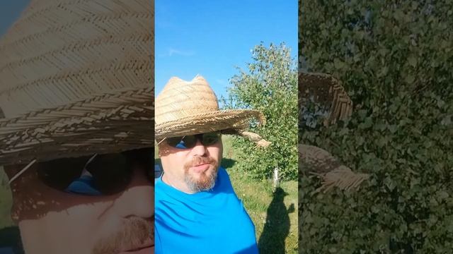 Каждому свой ландшафтный дизайн.
