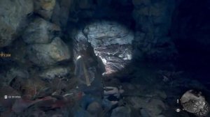 Орда из Лава-Арк и Мэрион-Форкс. Days Gone 2021 (PC)