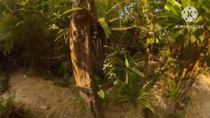 Wareerak Hot Spring & Wellness, Krabi, Thailand