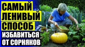 🔴 КАК БОРОТЬСЯ С СОРНЯКАМИ НАРОДНЫМИ СРЕДСТВАМИ ❗