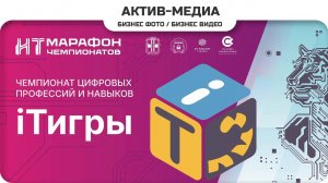 iTигры_2024 #активмедиа