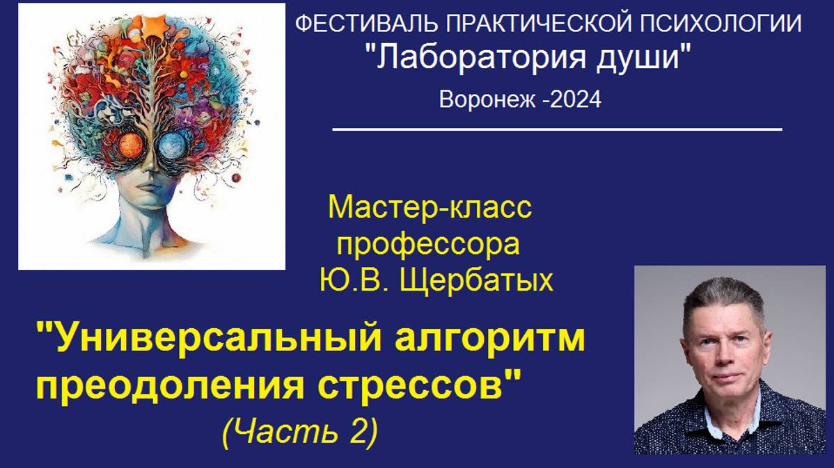 Мастер-класс по стрессу профессора Щербатых на Фестивале в Воронеже.  Часть 2.