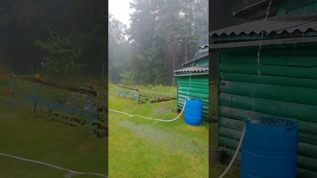 Сила воли или ответственность перед старшими заставляет полоть грядки.
