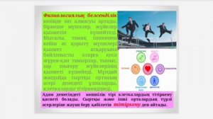 Орталық жүйке жүйесіндегі қозу импульстерінің қасиеттері. ПРЕЗЕНТАЦИЯ. Әлайдар Нұрымжан