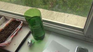 Эффективность применения биостимулятора Энрайвелл на баклажане.