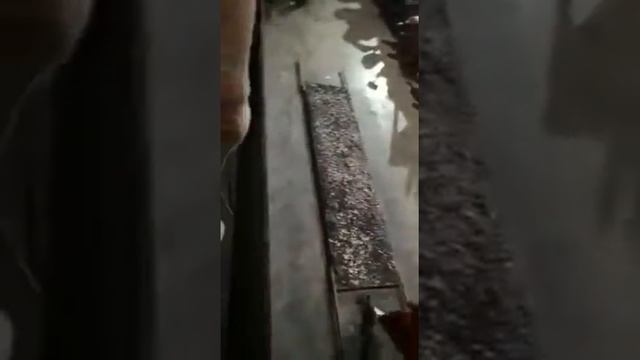 Огнехожление в Шри Ланка