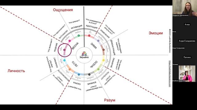 ТИП 8 ВИЗИОНЕР.  Система функционального анализа ЗЕРАЙНА.