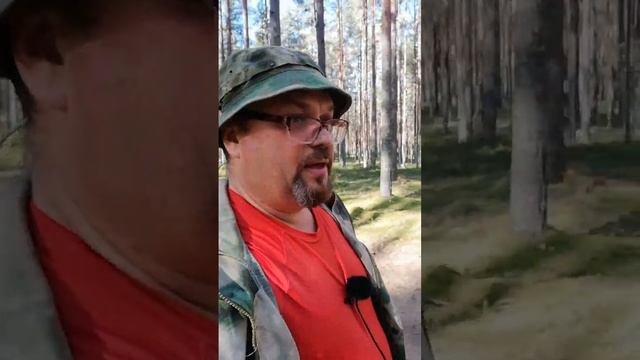 Шутки от старшего поколения.