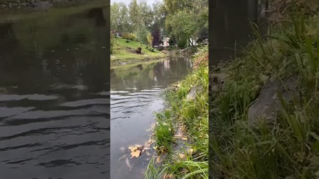 Осень на Алтае