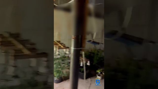 Астраханский наркофермер попался смотреть онлайн