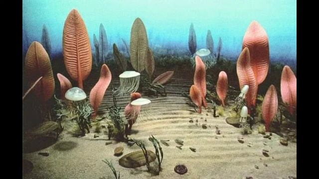 ГЕОХРОНОЛОГИЧЕСКАЯ ШКАЛА (ЧАСТЬ 12) ЭДИАКАРИЙ смотреть онлайн