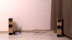 Атлас Тайфун (двухполосная акустика лабиринт на основе широкополосника)