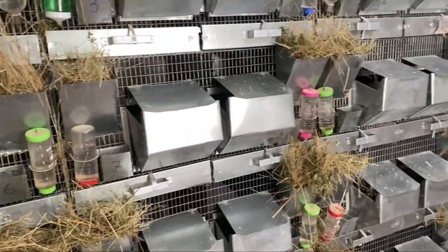 ЕДУ В ОТПУСК || А КАК ЖЕ ФЕРМА ??? смотреть онлайн