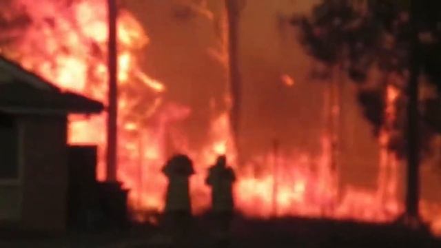 Humans Are Such Easy Prey [Bushfire Edit] смотреть онлайн