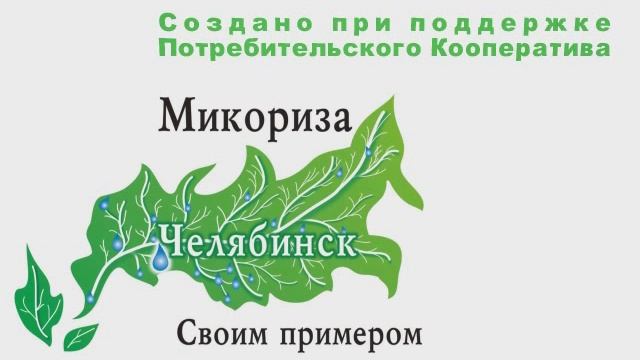 Суть Потребительской Кооперации