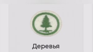 Следопыты проходят специализацию деревья