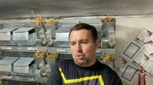 ЖИВОТНОВОДСТВО СТАЛО ВЫГОДНЕЕ | СЕЛЬСКОЕ ХОЗЯЙСТВО | К ЧЕМУ ПРИВЕДЁТ ПАДЕНИЕ ЦЕН НА ЗЕРНО