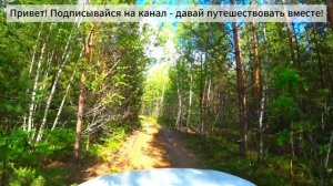 Летняя дорога