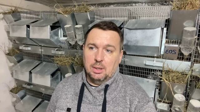 ВЫСТАВКА СОСТОИТСЯ | СЕЛЬСКОЕ ХОЗЯЙСТВО смотреть онлайн