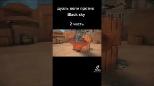 веля vs блек скай