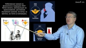 Дубынин В.А. - 100 часов школьной биологии - 2.4. Белки ("протеины"): строение и функции