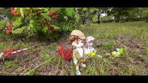 Сохраним планету