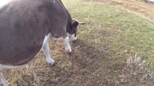 А вы говорили, что будем долго ждать!