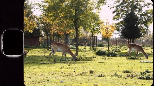 MAKHRIN - Катарсис (Official Music Video) смотреть онлайн