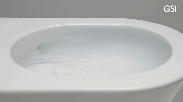 Swirlflush® - Toilet paper test | GSI ceramica