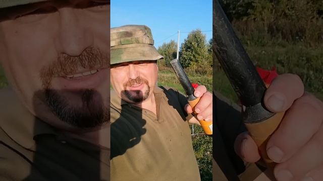 Сажал ГРУШУ, а нашёл клад.
