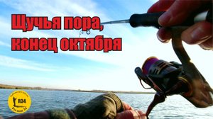 Щучья пора , конец октября. Трофеи должны уже быть.