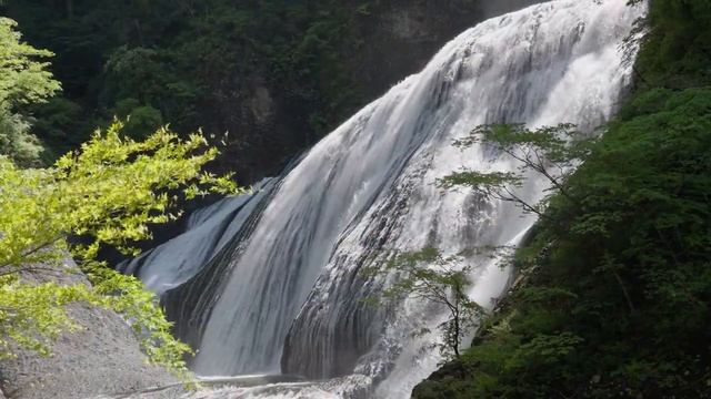 МАГНИТНАЯ СИЛА ПРОСТРАНСТВА.