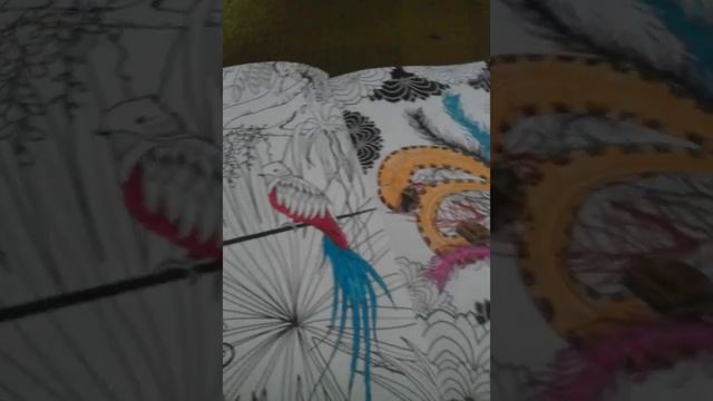 Расскраска-антистресс для творчества и вдохновения смотреть онлайн