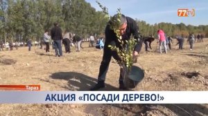 АКЦИЯ «ПОСАДИ ДЕРЕВО!»