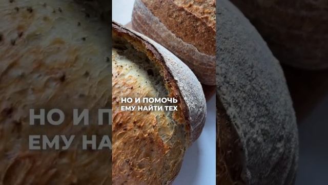 Лохи или?.. #хлебназакваске #хлеббездрожжей #хлеббеззамеса #реалити #домашнийхлеб #полезныйхлеб