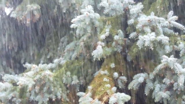 Лучшее видео с дождём для глубокого сна. Переключитесь на положительные волны.Колыбельная музыка(4k