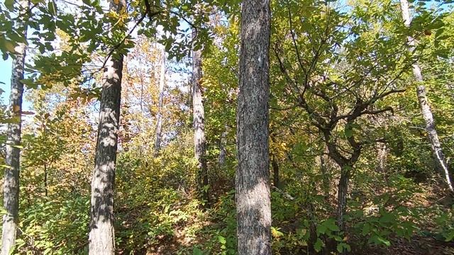 Золотая осень в селе Аромат.