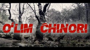 MUHAMMADSODIQ "O'LIM CHINORI" |QO'RQINCHLI AUDIO HIKOYALAR | КОРКИНЧЛИ АУДИО ХИКОЯЛАР