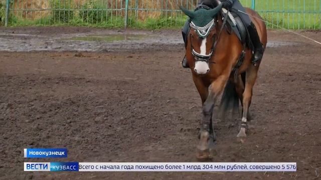 Амур для Олеси: иппотерапия помогает бороться с врождённым заболеванием смотреть онлайн