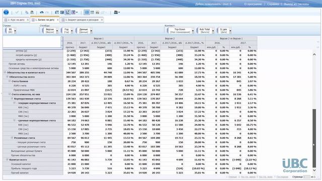 IBM Planning Analytics: Сценарное моделирование (Cognos TM1) смотреть онлайн