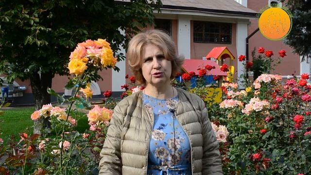 Расстановки в Центре семейной терапии. Кому подойдет метод?