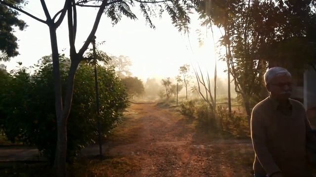 VIPASSANA MEDITATING FOR 10 FULL DAYS | 12 HOUR MEDITATION PER DAY | PLACE TO RESET THE MIND смотреть онлайн