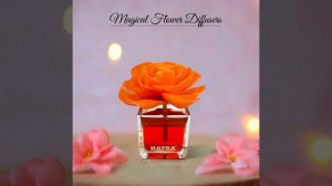 Magical Reed Flower Colour Changing Diffuser From Nayra