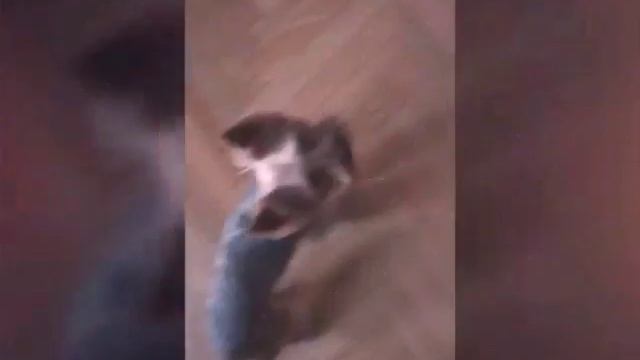 Повторяем наши тюрки :-) смотреть онлайн